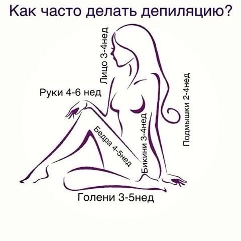 Главная